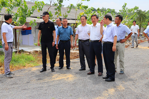 杨林建调研太湖县九田村养鸡示范基地