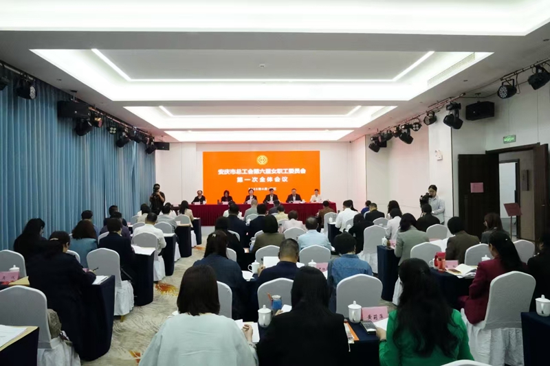 安庆市总工会第六届女职工委员会第一次全体会议在望江县召开